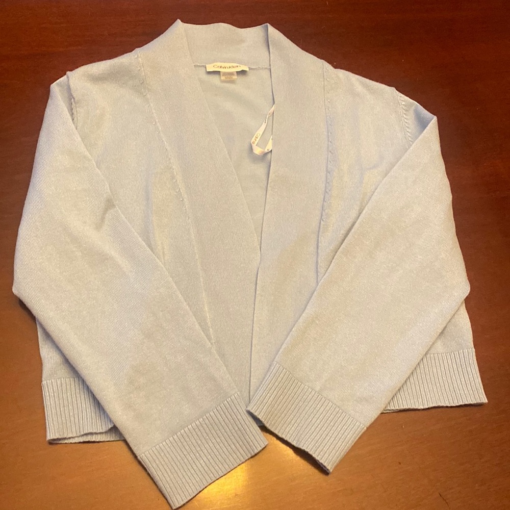 Calvin Klein Baby Blue Sweater